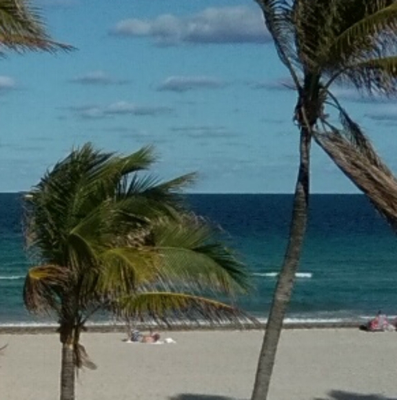 BeachRachelle is going Live - Picture 4 of 4